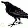 The Raven