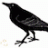 The Raven