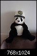 NSU Panda .jpg